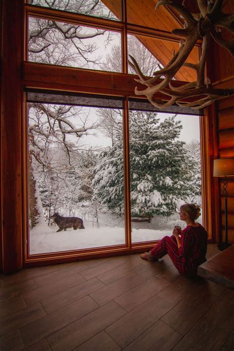 parc omega canada hotel|parc omega wolf lodge.